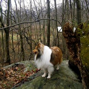 Princess of All She Surveys