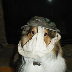 Colonel Underpants