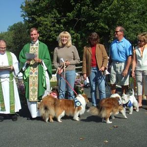 St Pete's Pets