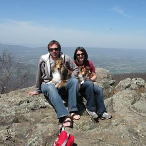 Jonathan, Bentley, me and Lexi at Skyline Drive