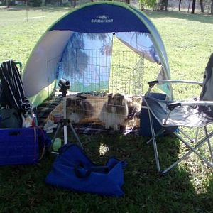 Our little agility tent - easter 2010 trial