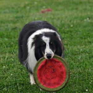 ONE more throw PLEASE