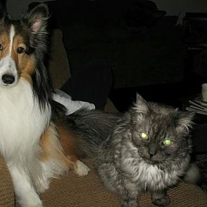 Milo and Natasha.  Milo was approx. 3 and Natasha was approx. 16.  They were best buddies and used to play all the time.  Natasha passed away when she