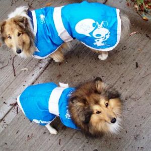 Winter fashion - in our 'must have' RSPCA coats