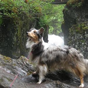 Deja striking a pose.