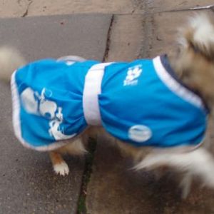 The "OMG it's the garbage truck!!!" spin.

Deska gets more exercise from all his spinning than the walking!