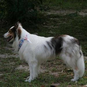 Abby