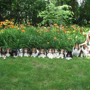 Honey, I'm bringing home a few friends...