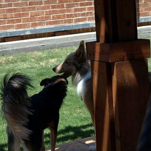 Max getting kisses from Fred