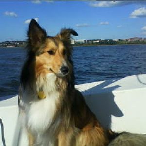Sailing August 023
