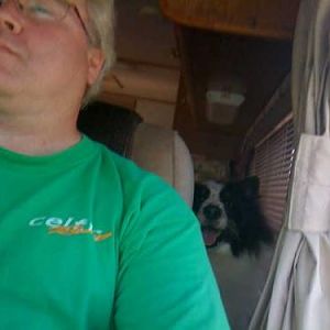 backseat driver