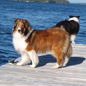 Bacca....look how long he is!  When did he get so big?
