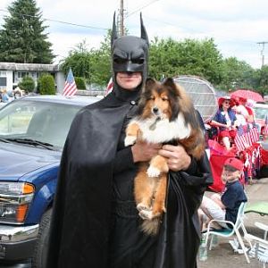 Everett the Bat-Sheltie