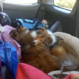 Lexi loooooves her brother!