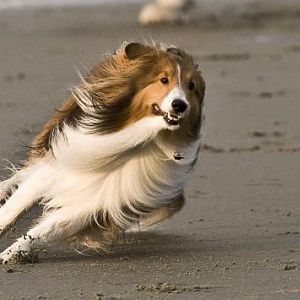 Tight turn on the beach