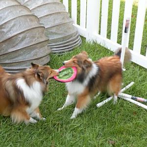 Playing