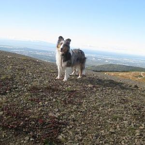This shot was taken on the hike up to Flat-Top Mountain, overlooking Anchorage.