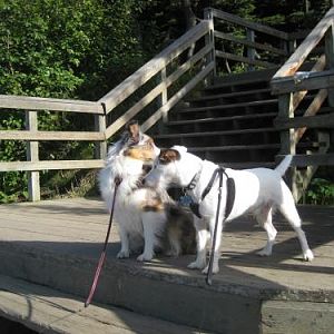Getting ready for the hike.