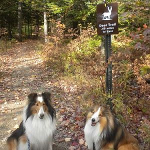 Starting our walk on the Deer Trail