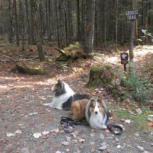 resting in front of the Grouse Trail