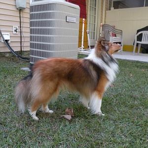 Lexi @ 1 year