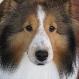 Checkers
Ready for her Close-Up!