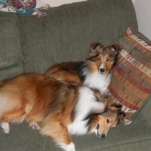 Bentley DOES like his sister!