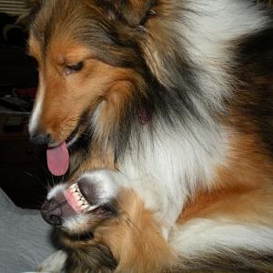 "I love you, brother!"
"Go away!"