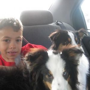 Pal, Maverick and AJ