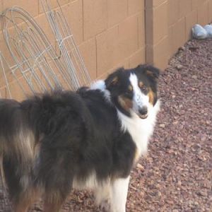 Maverick 9 months