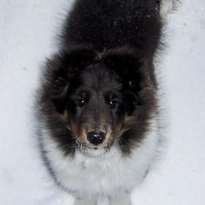 Porter at 10 1/2 wks