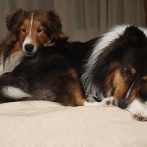 Brotherly love????  Not really....the fight just gave out and the collapsed where they were!