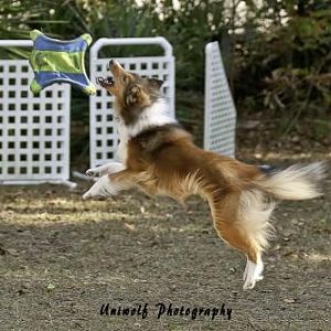 Lexi at our December trial in Charleston