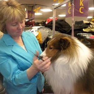 Karen grooming Alex
