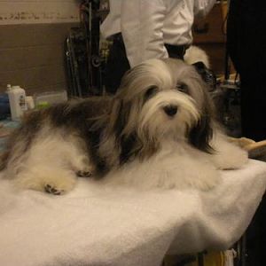 DSCN0181