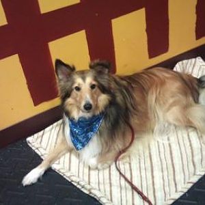 At Agility class