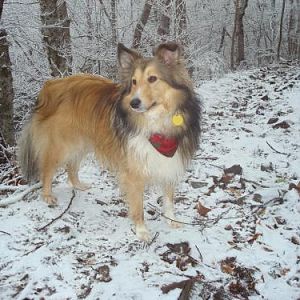 December 2011