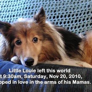 Louie last day