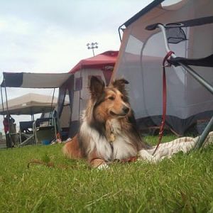 Beazly Field Trial