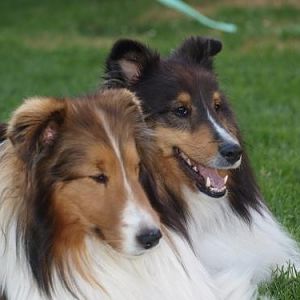 Hey Mom,  we made up and we're friends again!