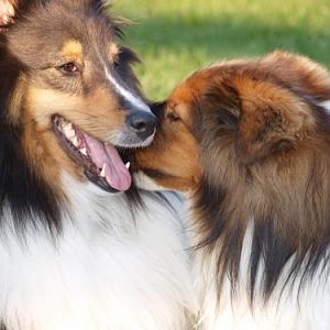 Yeah, but be quiet...where's Mom?