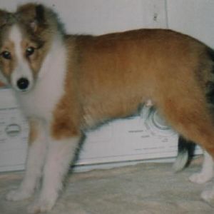 Justice at 10 weeks