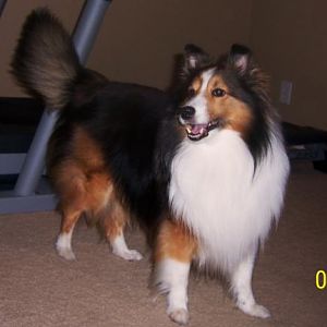 Justice at 6 yrs