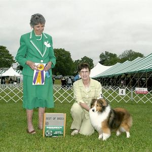 Checkers, Best of Breed
June 2011