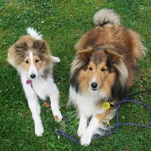 Lexi and Pyper