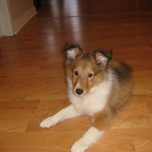 9 weeks