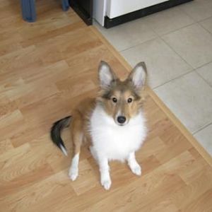 17 weeks 2