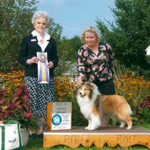 BISS Bronze GCH Rabbit Run Fun and Games, "Tansy", wins Best of Breed at the DownEast Shetland Sheepdog specialty show.
This is a very special pictur