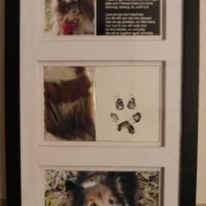 Louie's frame