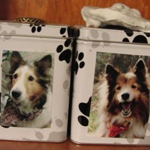 Maddie and Louie's Ashes